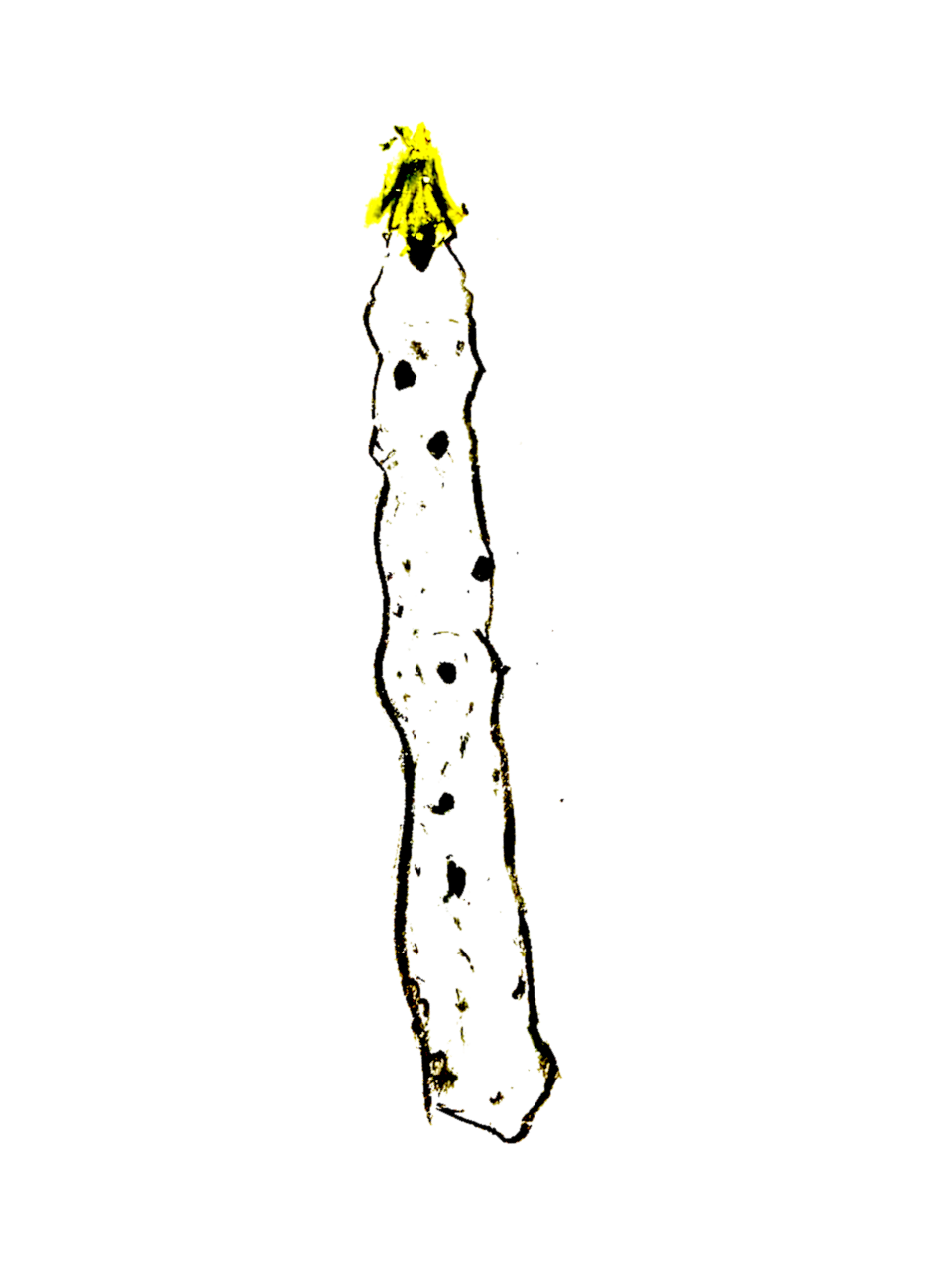 loose ink-and-yellow drawing of the fulgurite flute, finger holes marked along its length